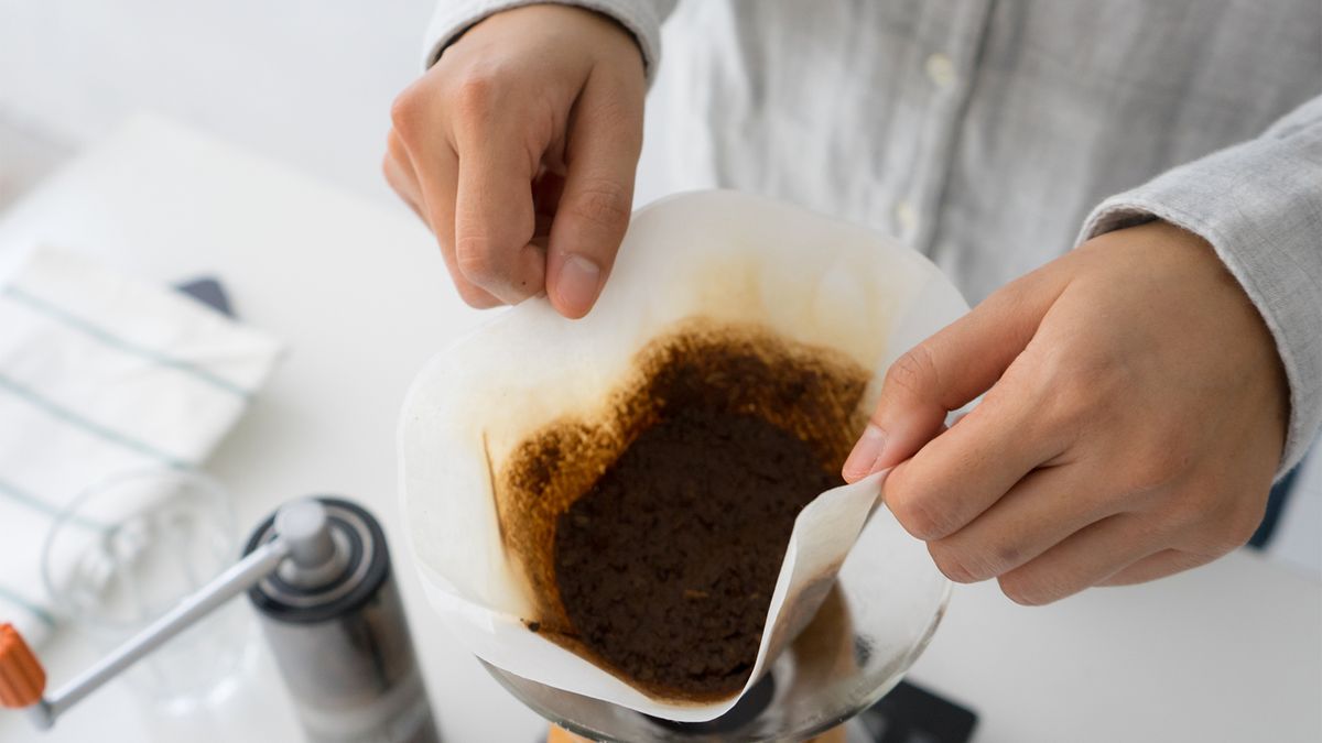 A man holding the coffee filter full of spent coffee grounds. Coffee grounds can be recycled. The spent coffee grounds can be used to produce useful things.